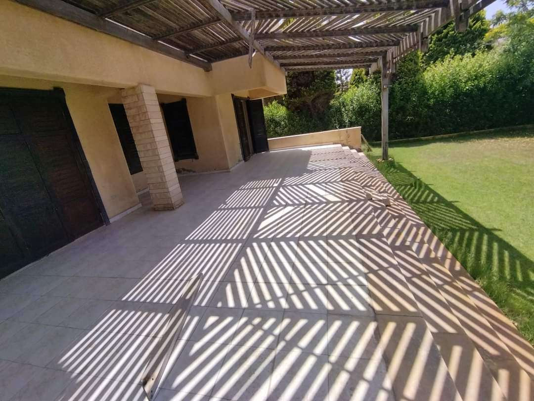 Renzo -   Property 1060