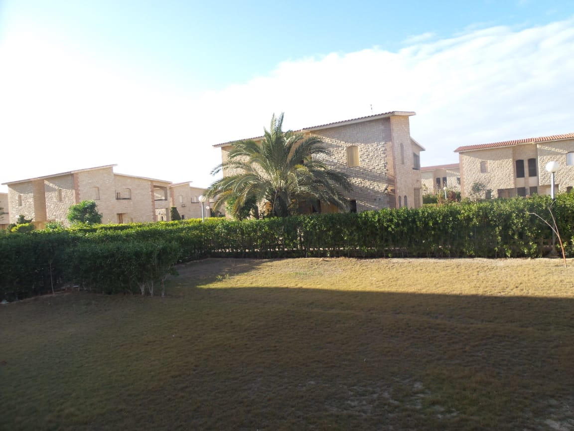 Renzo -   Property 1037