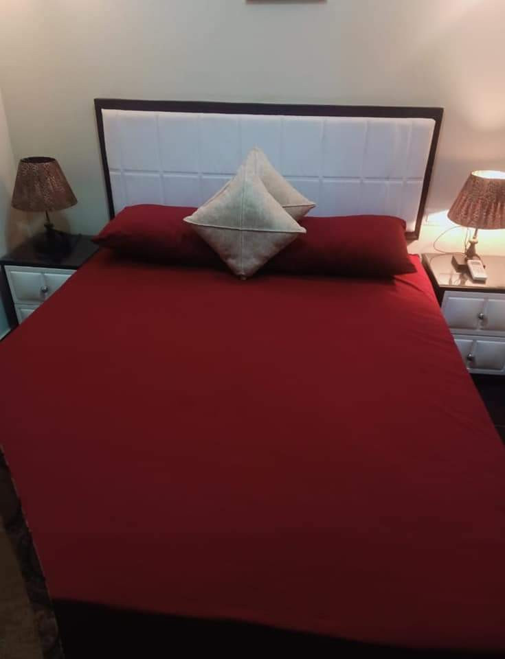 Renzo -   Property 411