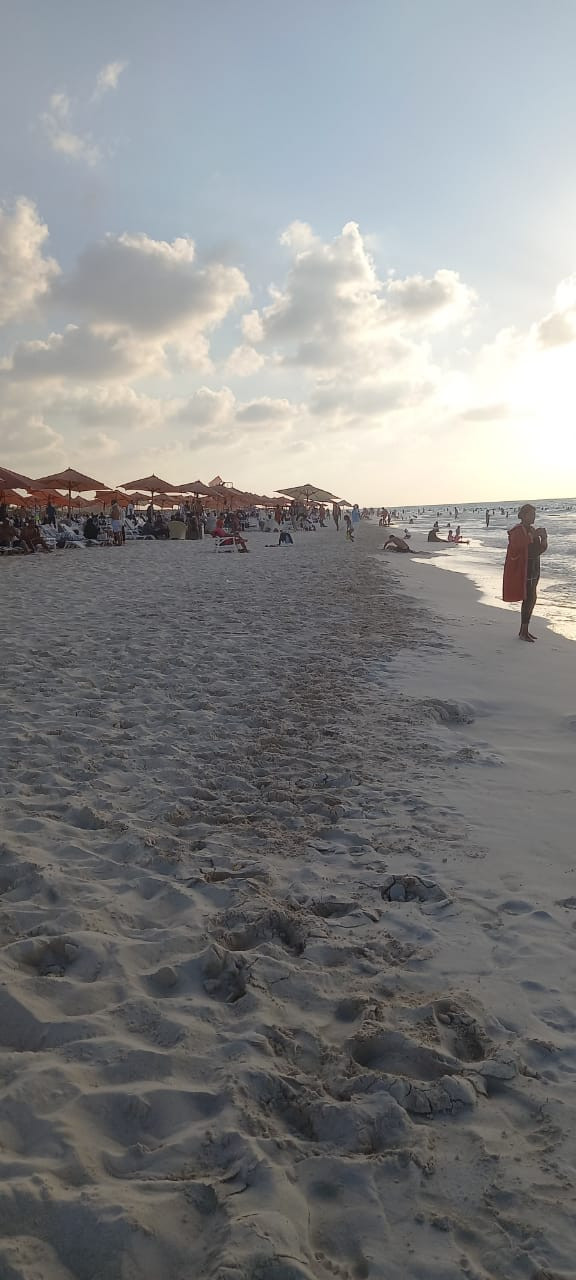 Renzo -   Property 420