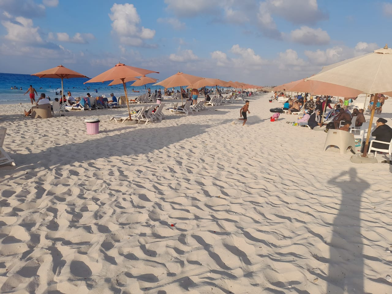 Renzo -   Property 420