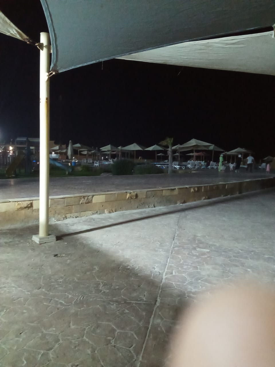 Renzo -   Property 420