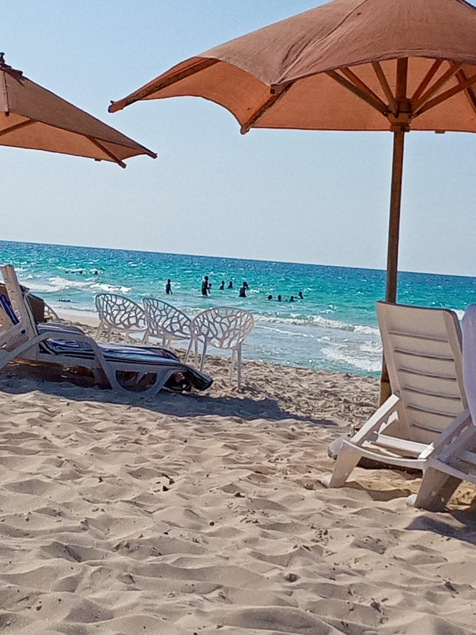 Renzo -   Property 420