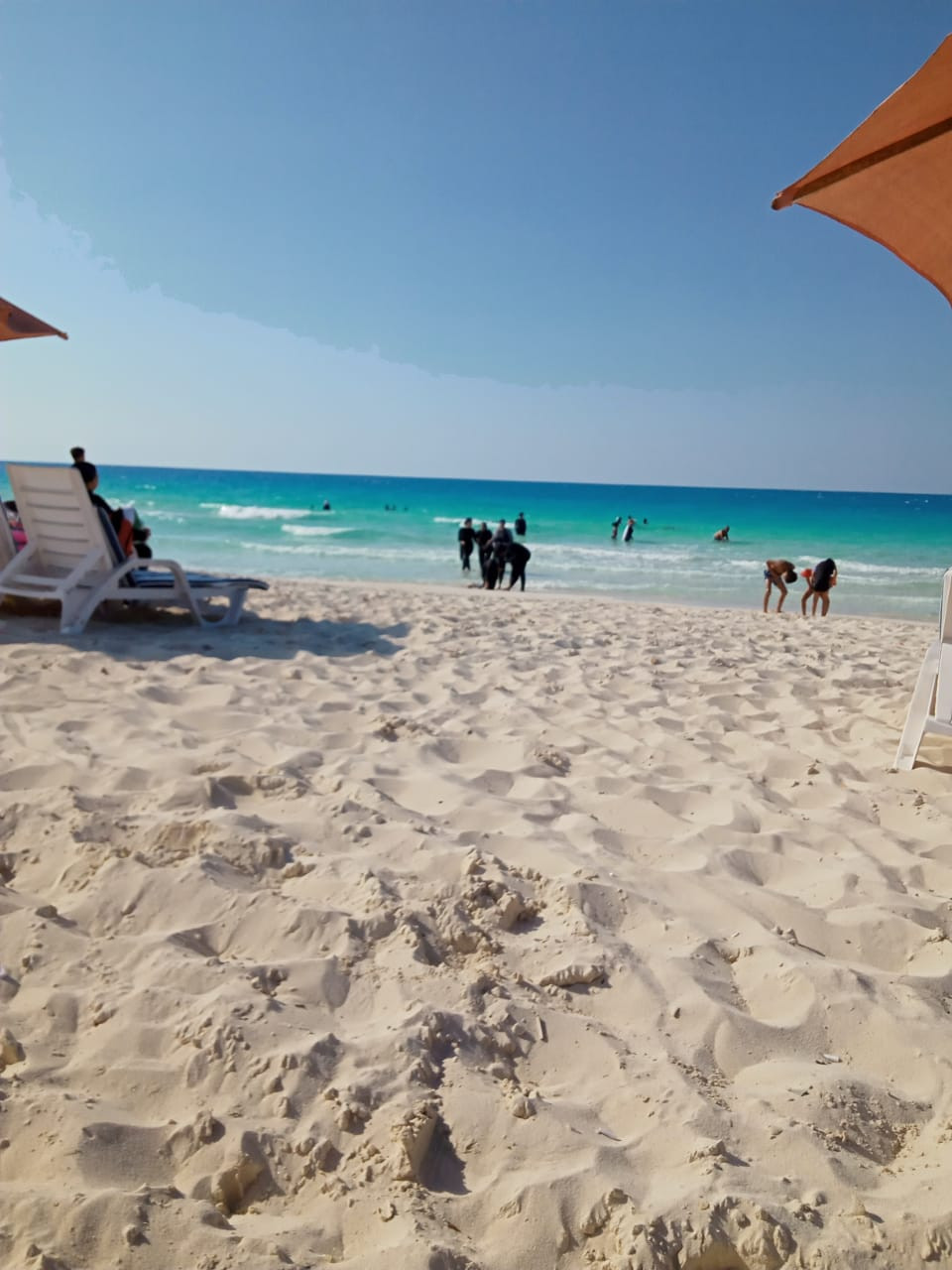 Renzo -   Property 420