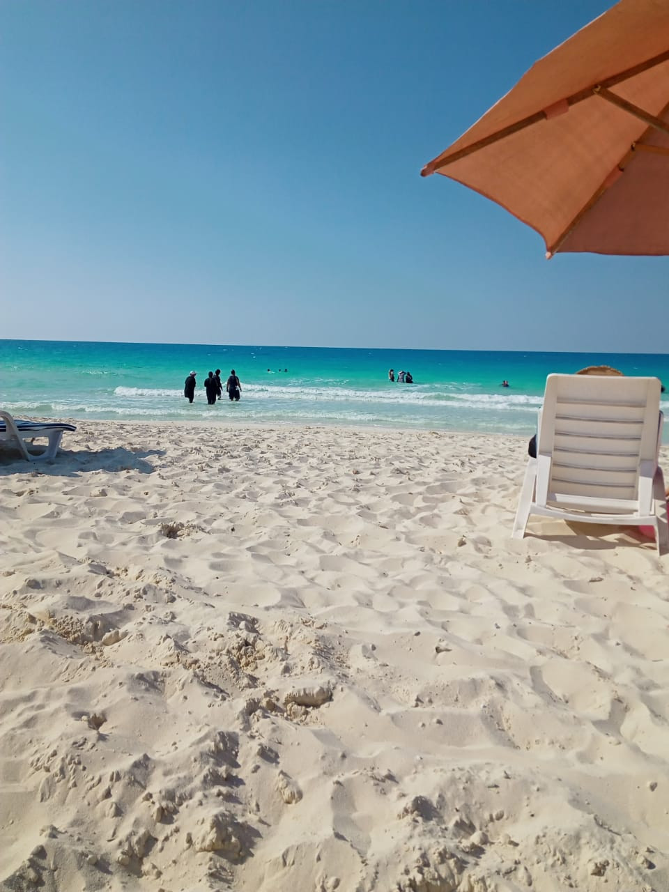 Renzo -   Property 420