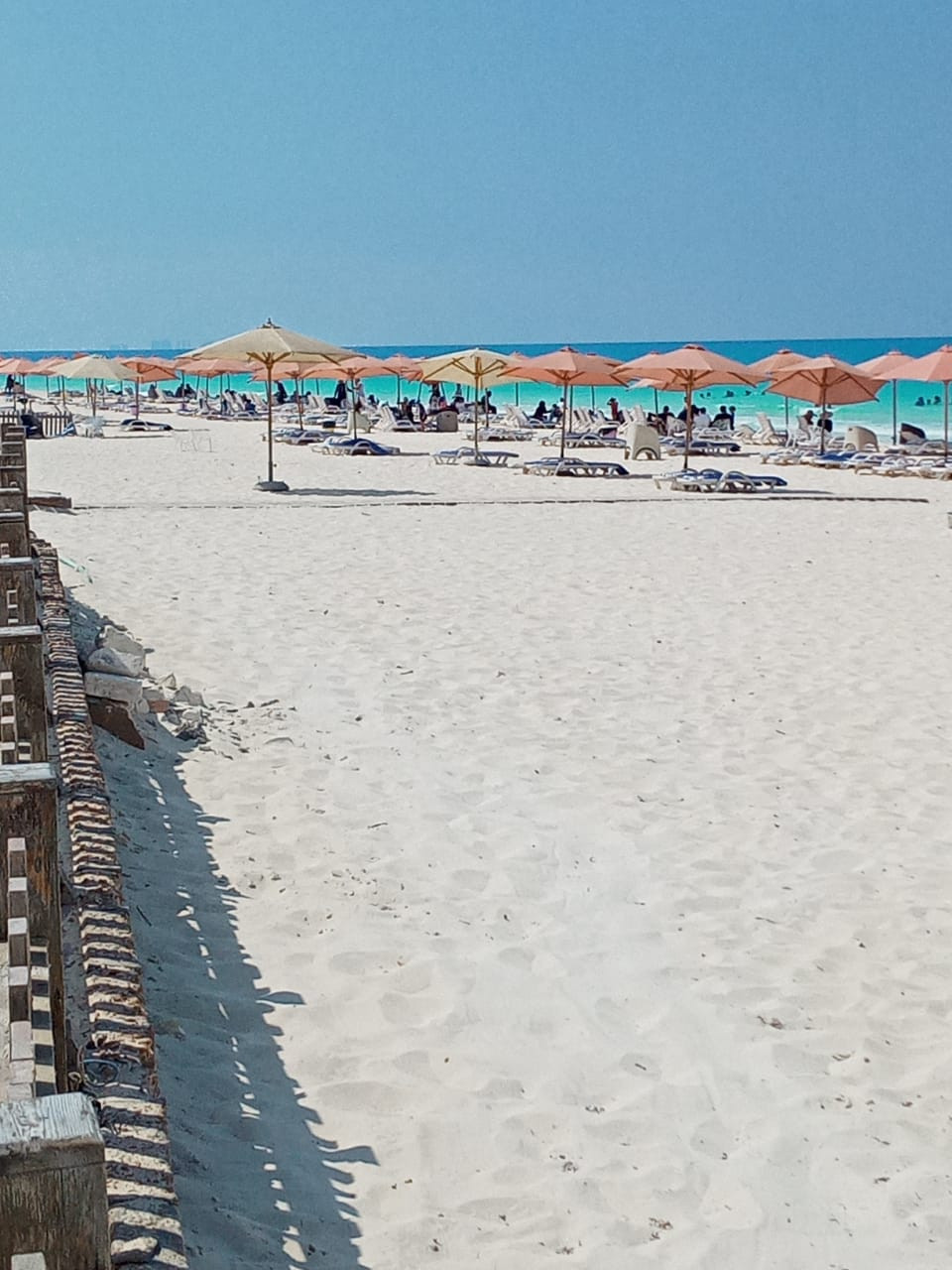 Renzo -   Property 420