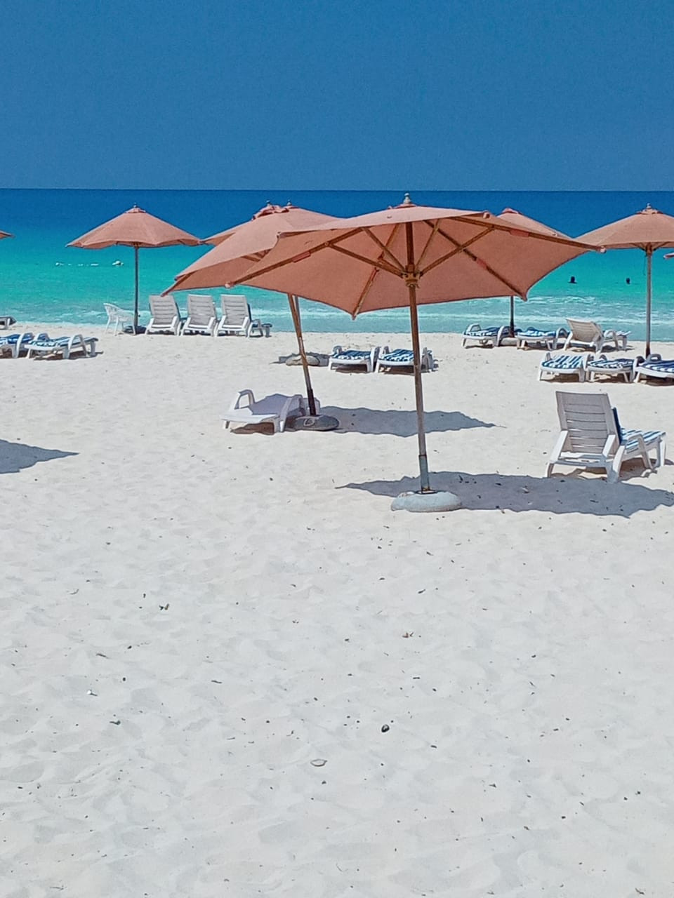 Renzo -   Property 420