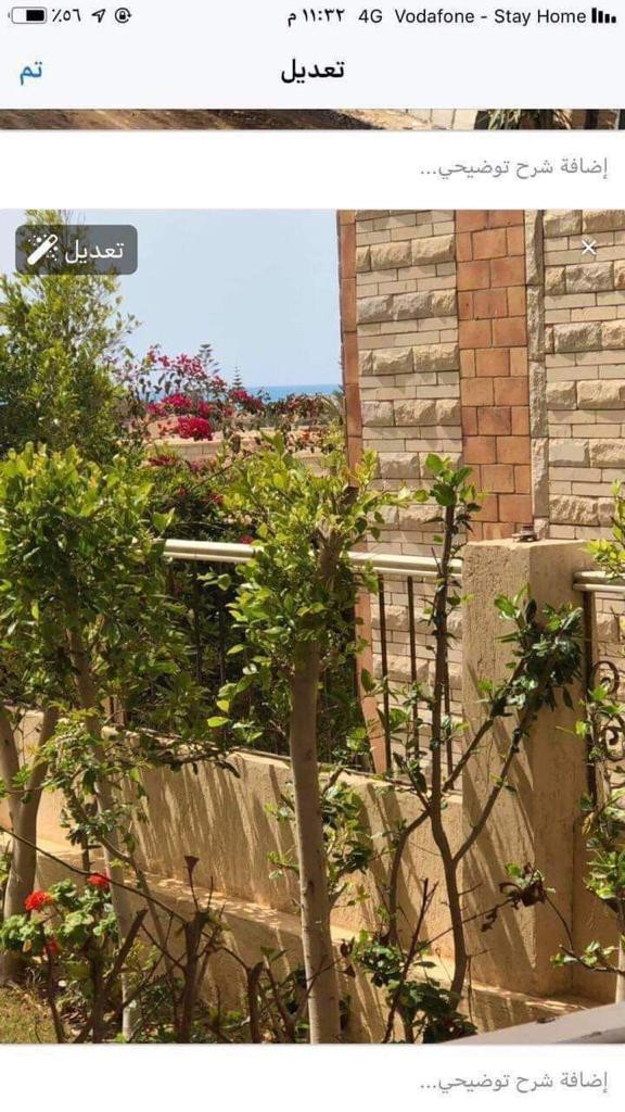 Renzo -   Property 424