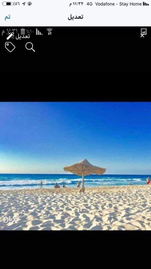 Renzo -   Property 424