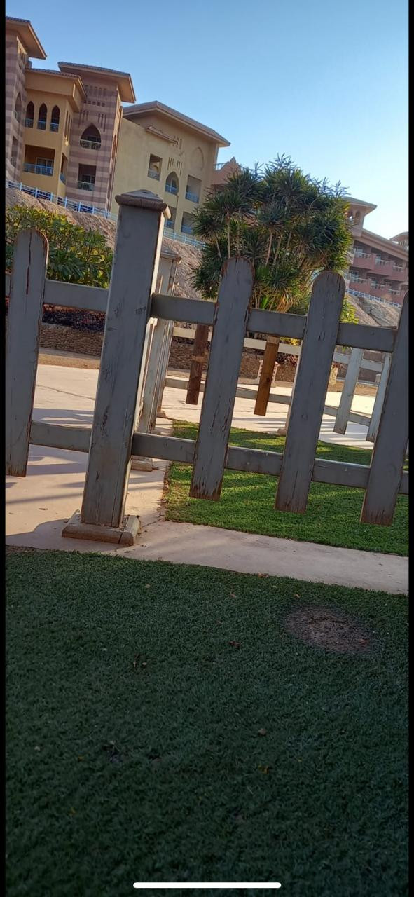 Renzo -   Property 438