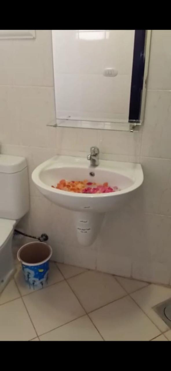 Renzo -   Property 443