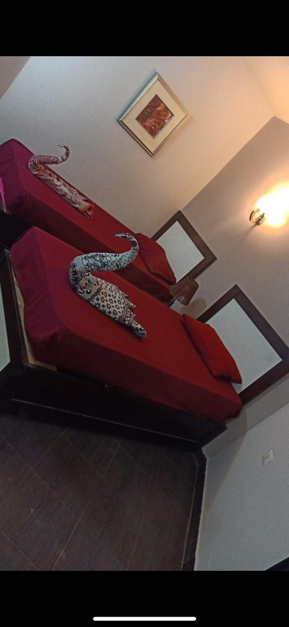 Renzo -   Property 446