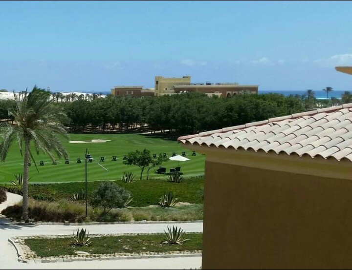 Renzo -   Property 538