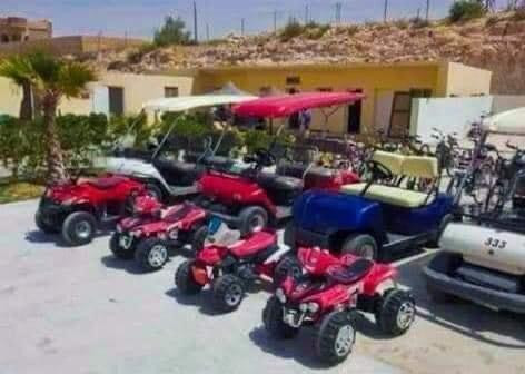 Renzo -   Property 539