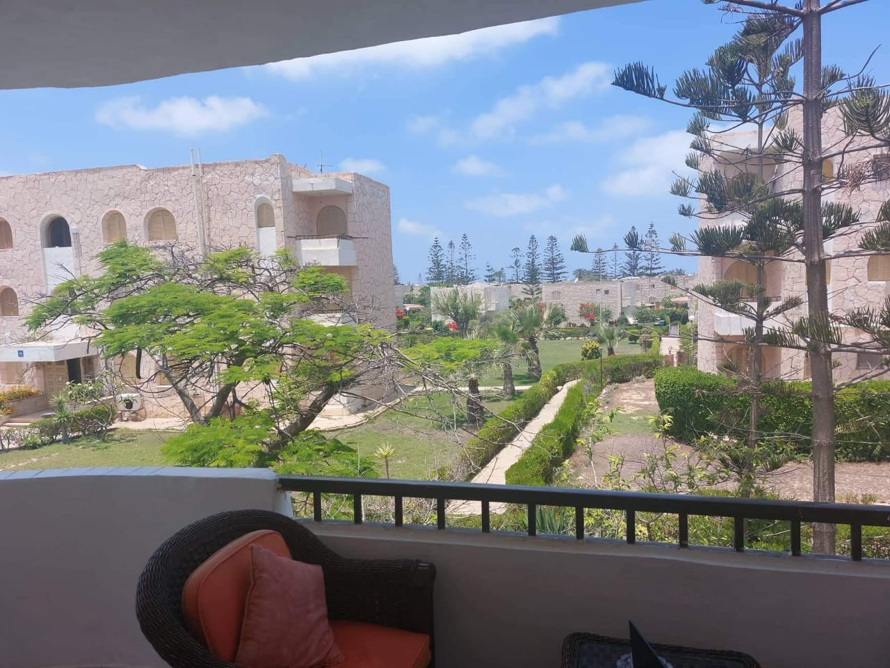 Renzo -   Property 540