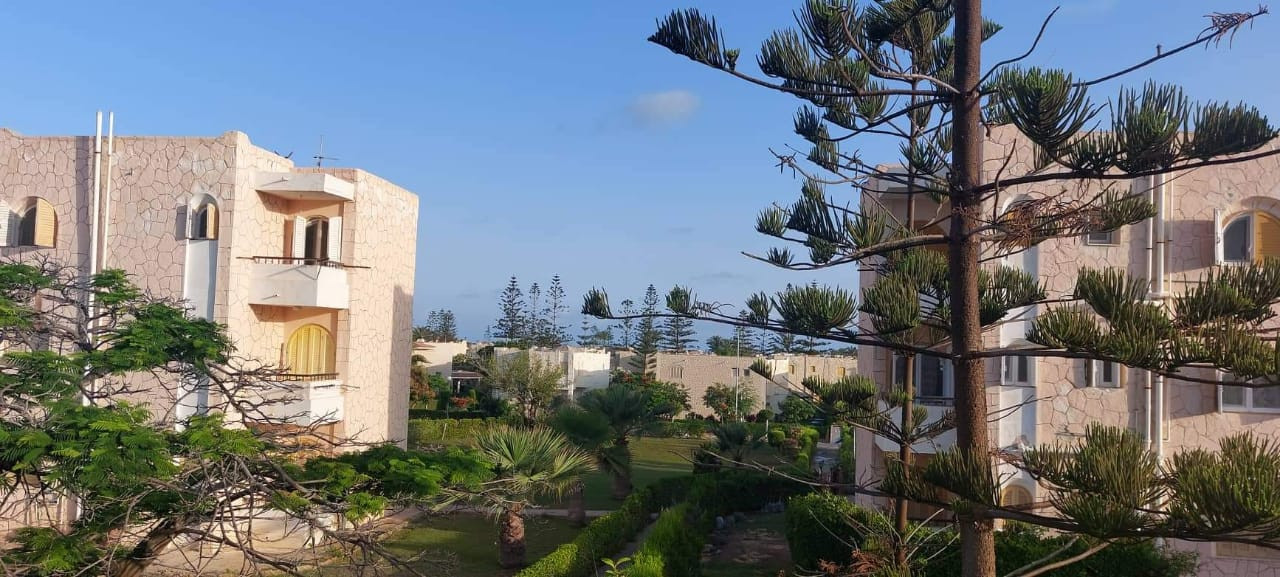 Renzo -   Property 540