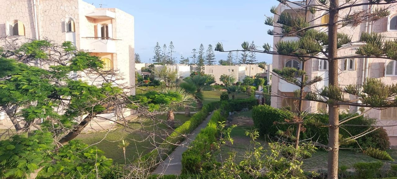 Renzo -   Property 540