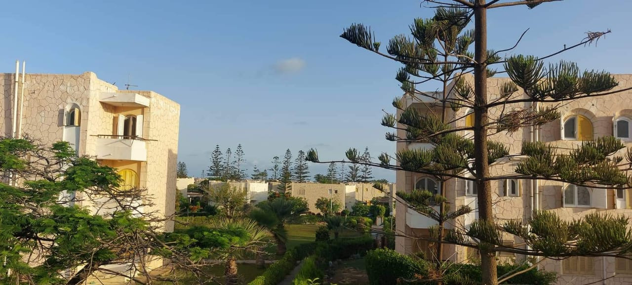 Renzo -   Property 540