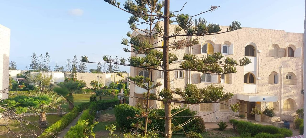 Renzo -   Property 540