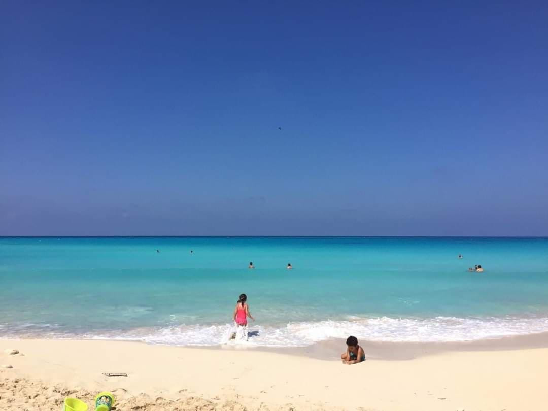 Renzo -   Property 543