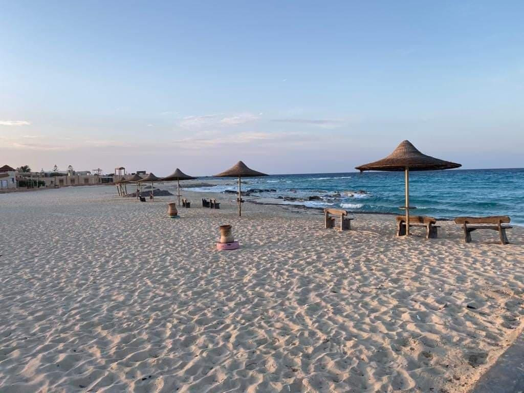 Renzo -   Property 543