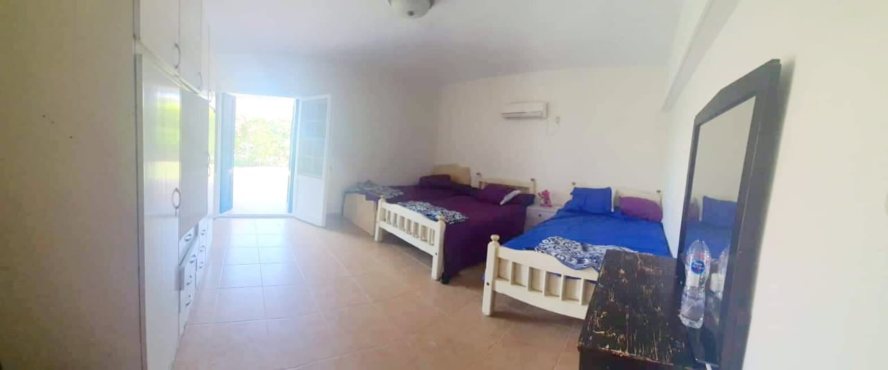 Renzo -   Property 547