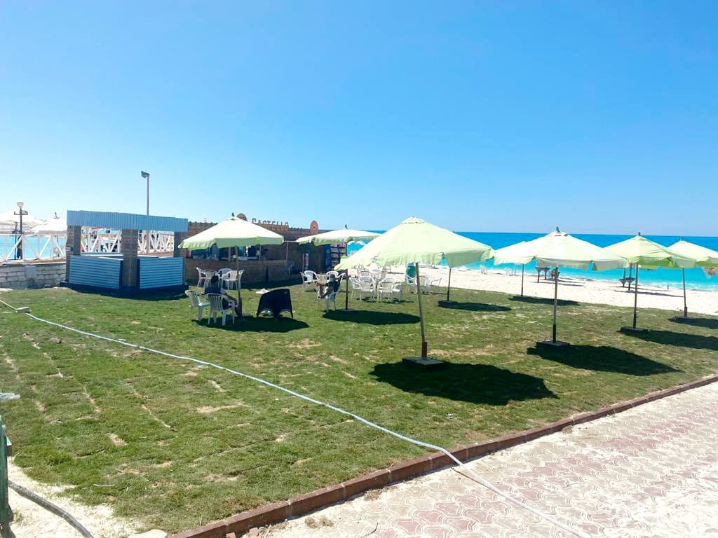 Renzo -   Property 547