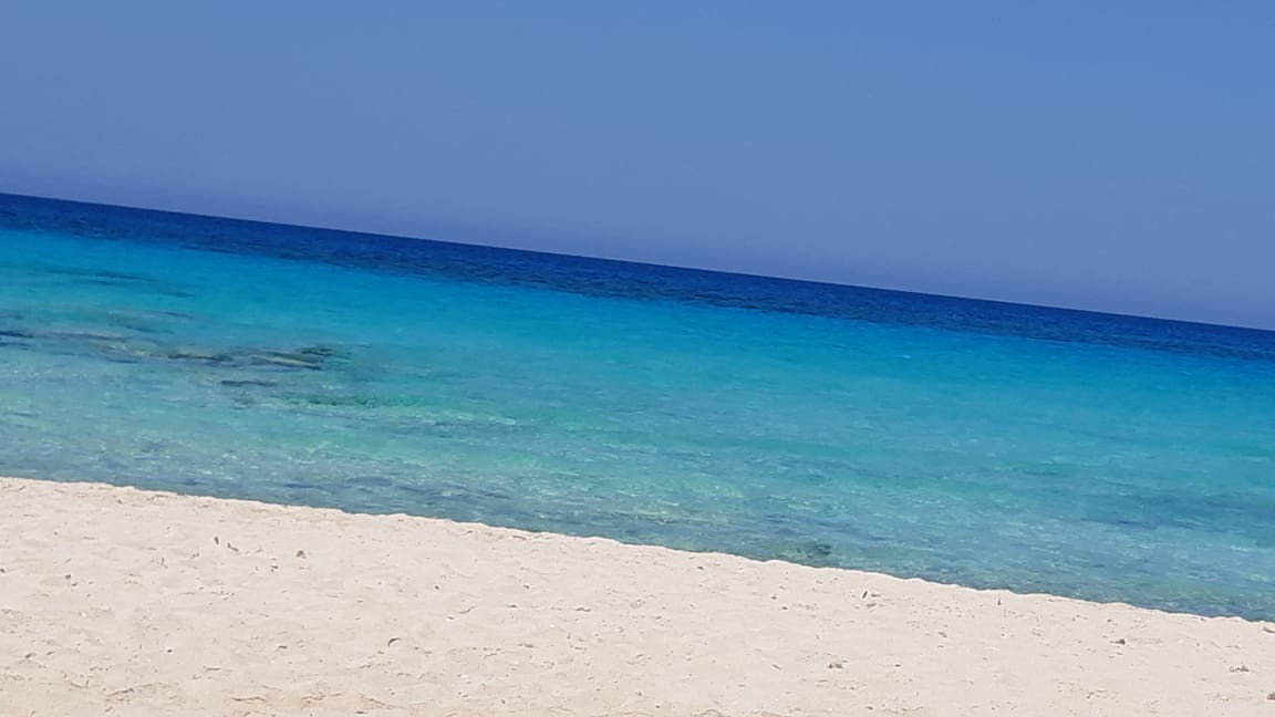 Renzo -   شالية 3 غرف فى ستيلا هايتس