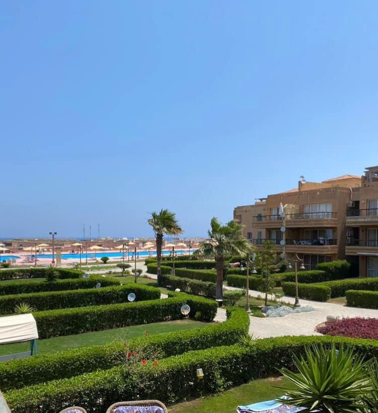 Renzo -   Property 579