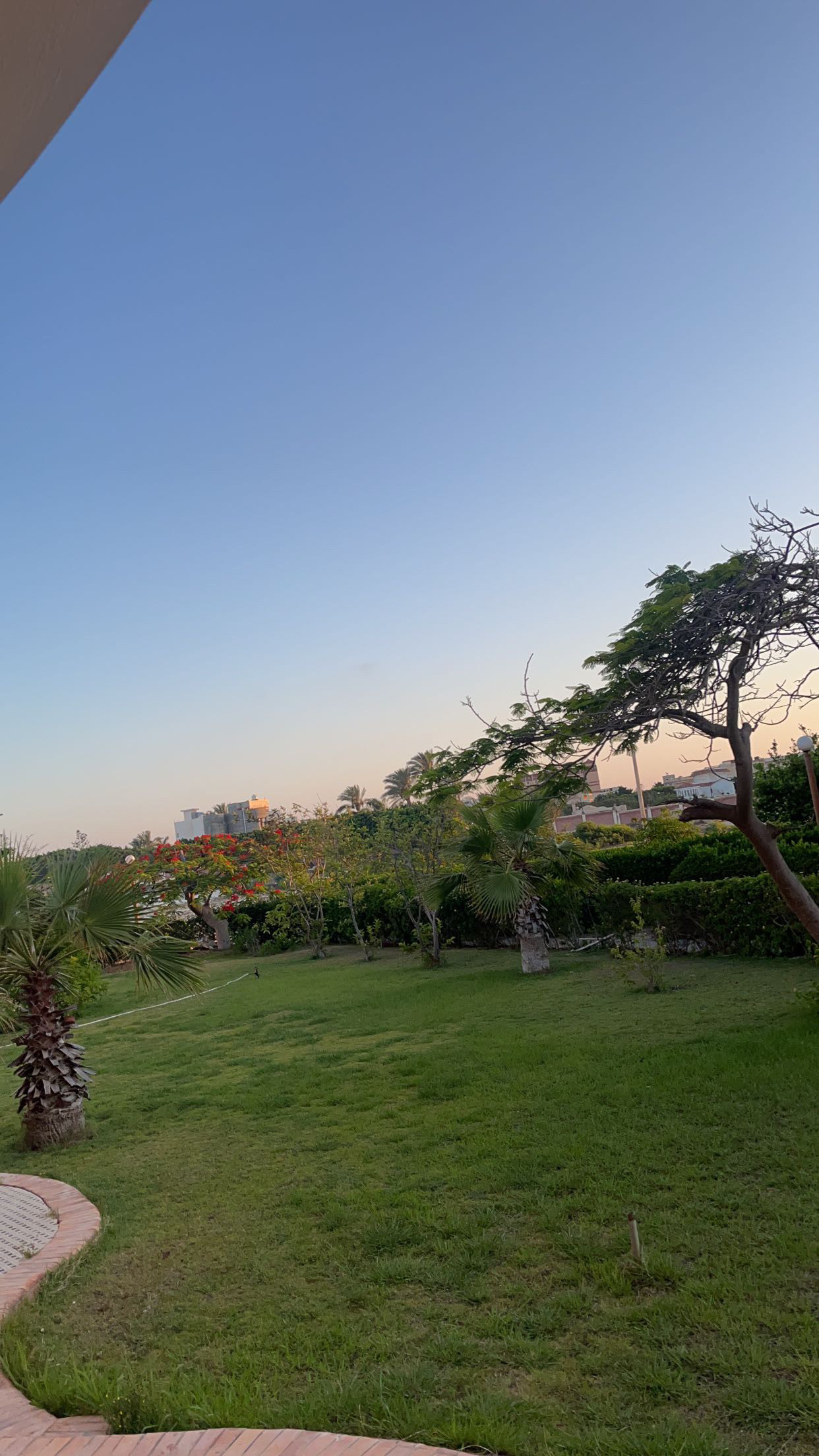 Renzo -   Property 841