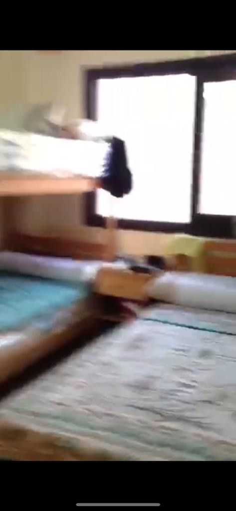 Renzo -   Property 893