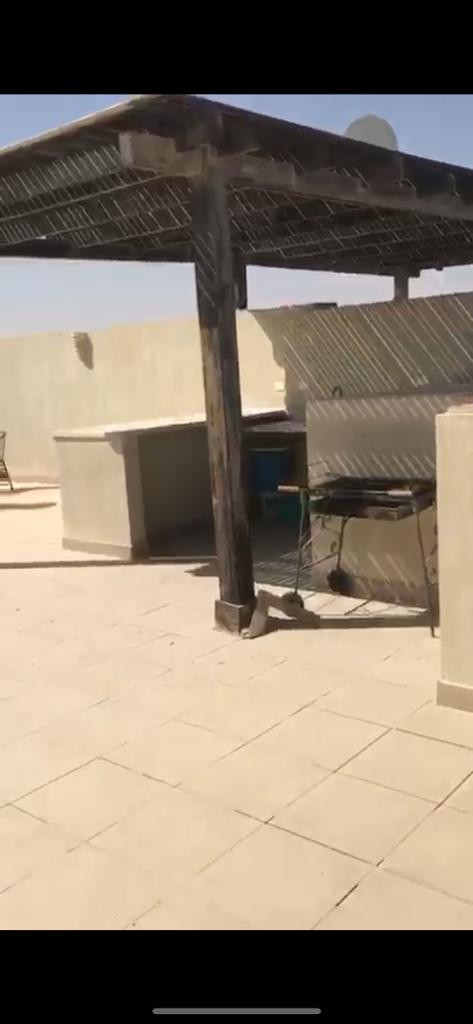 Renzo -   Property 897