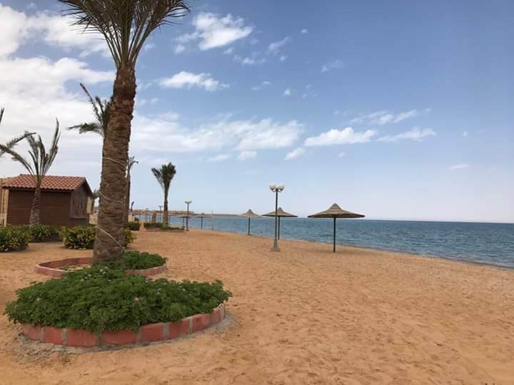 Renzo -   Property 910