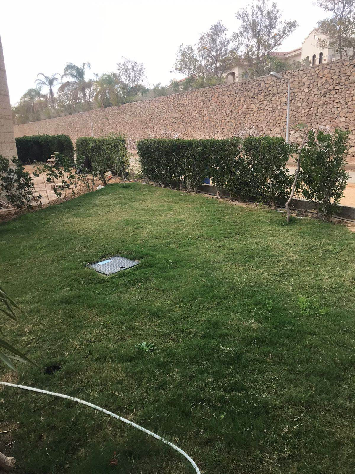 Renzo -   Property 910