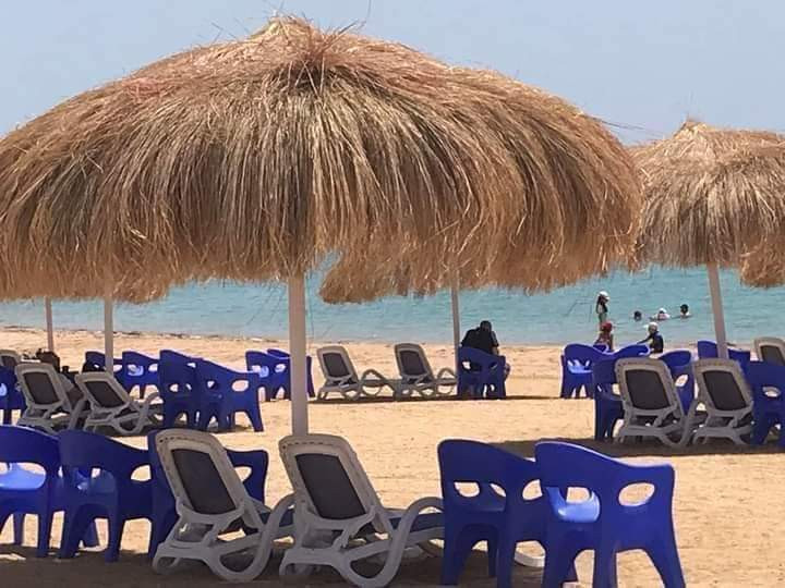 Renzo -   Property 944