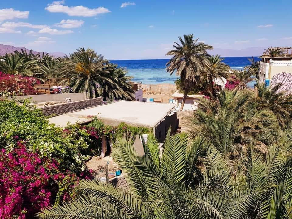 Renzo -   Property 1089