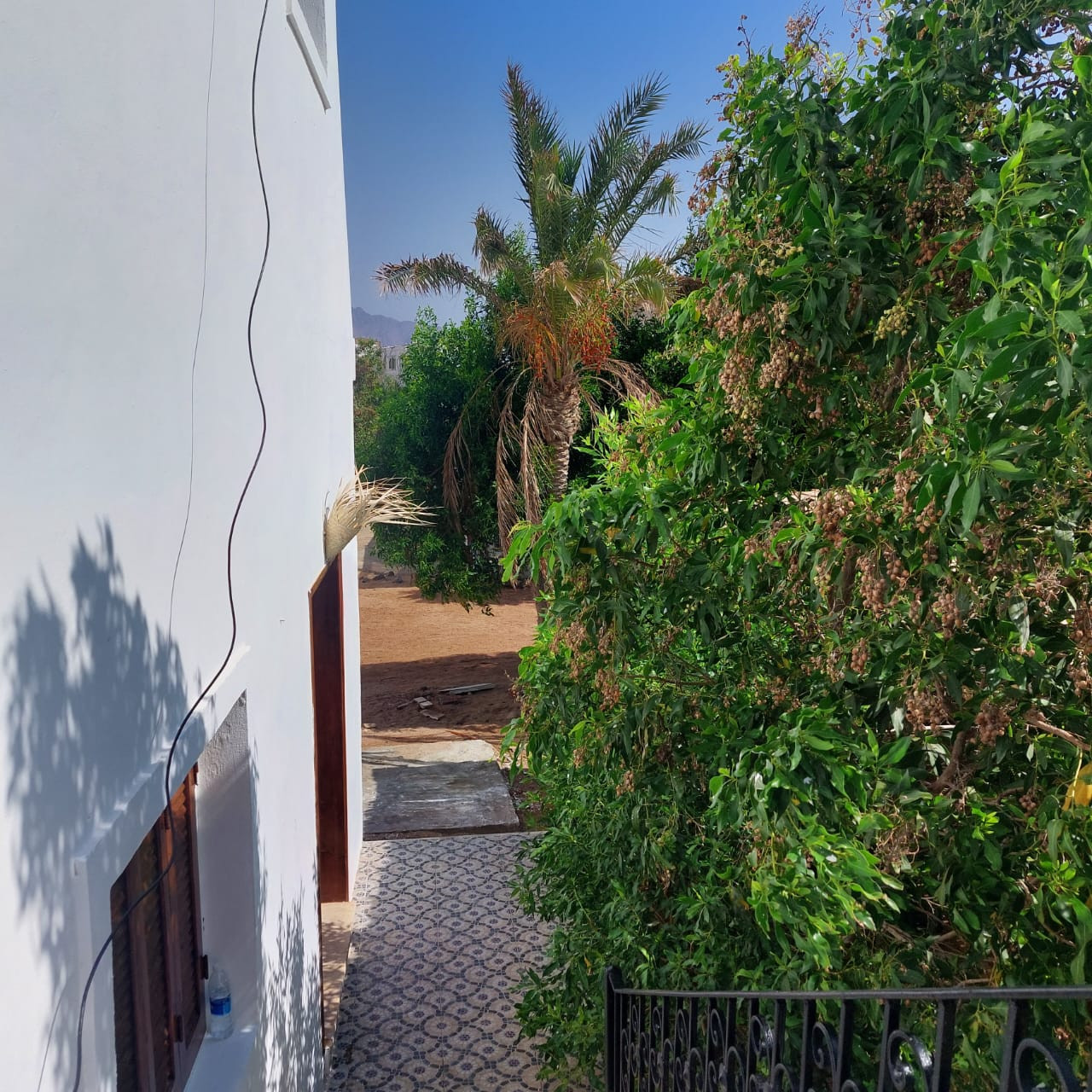 Renzo -   Property 1090