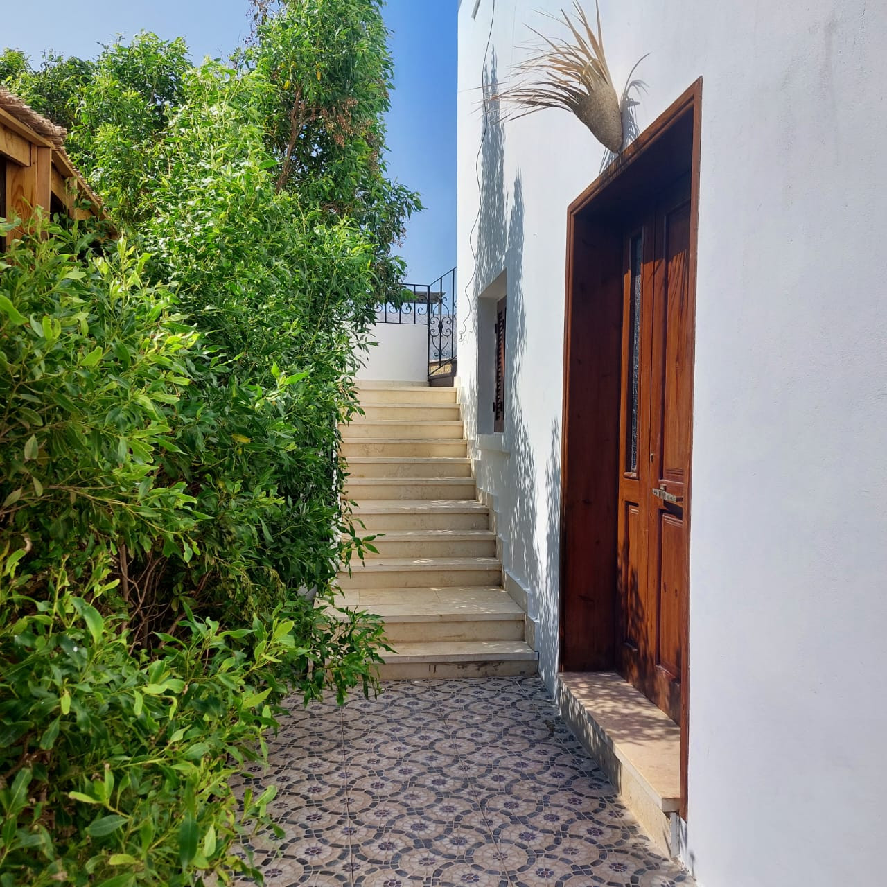 Renzo -   Property 1091