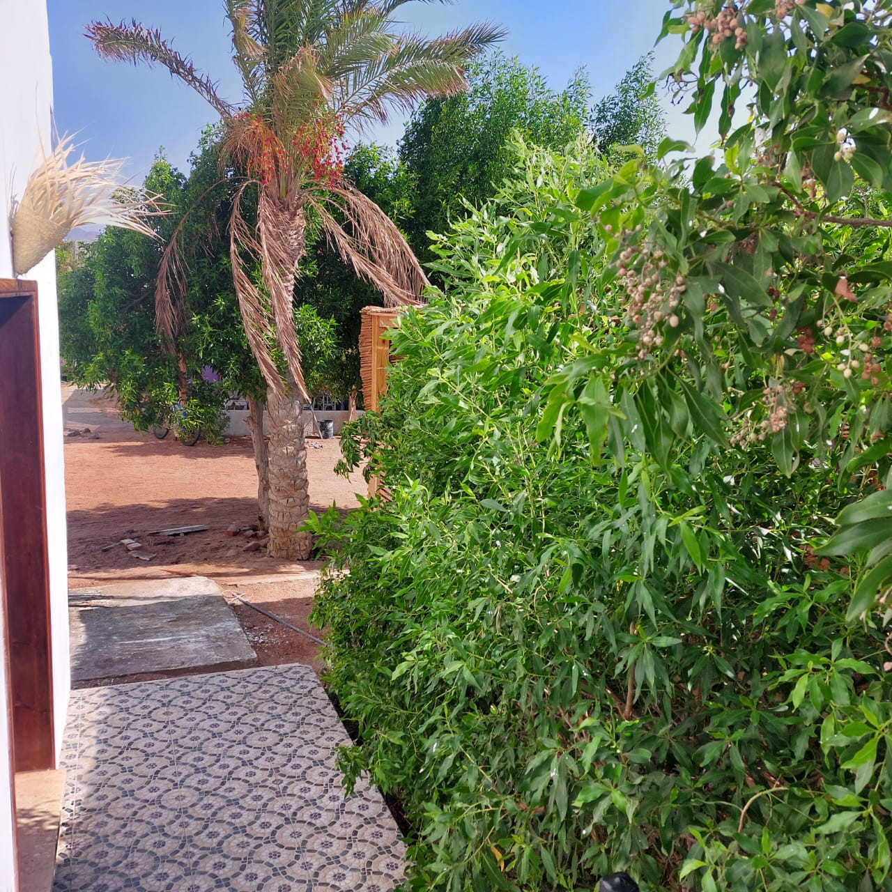 Renzo -   Property 1091