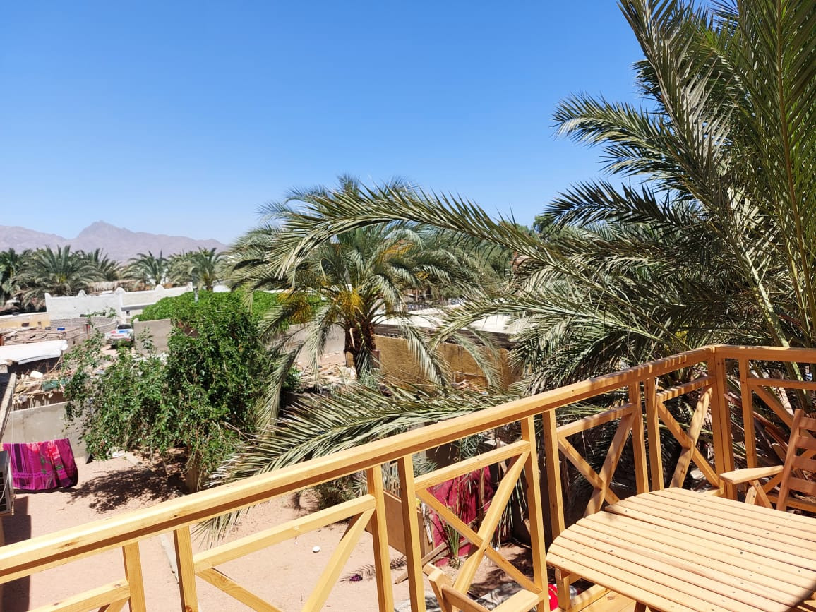 Renzo -   Property 1092