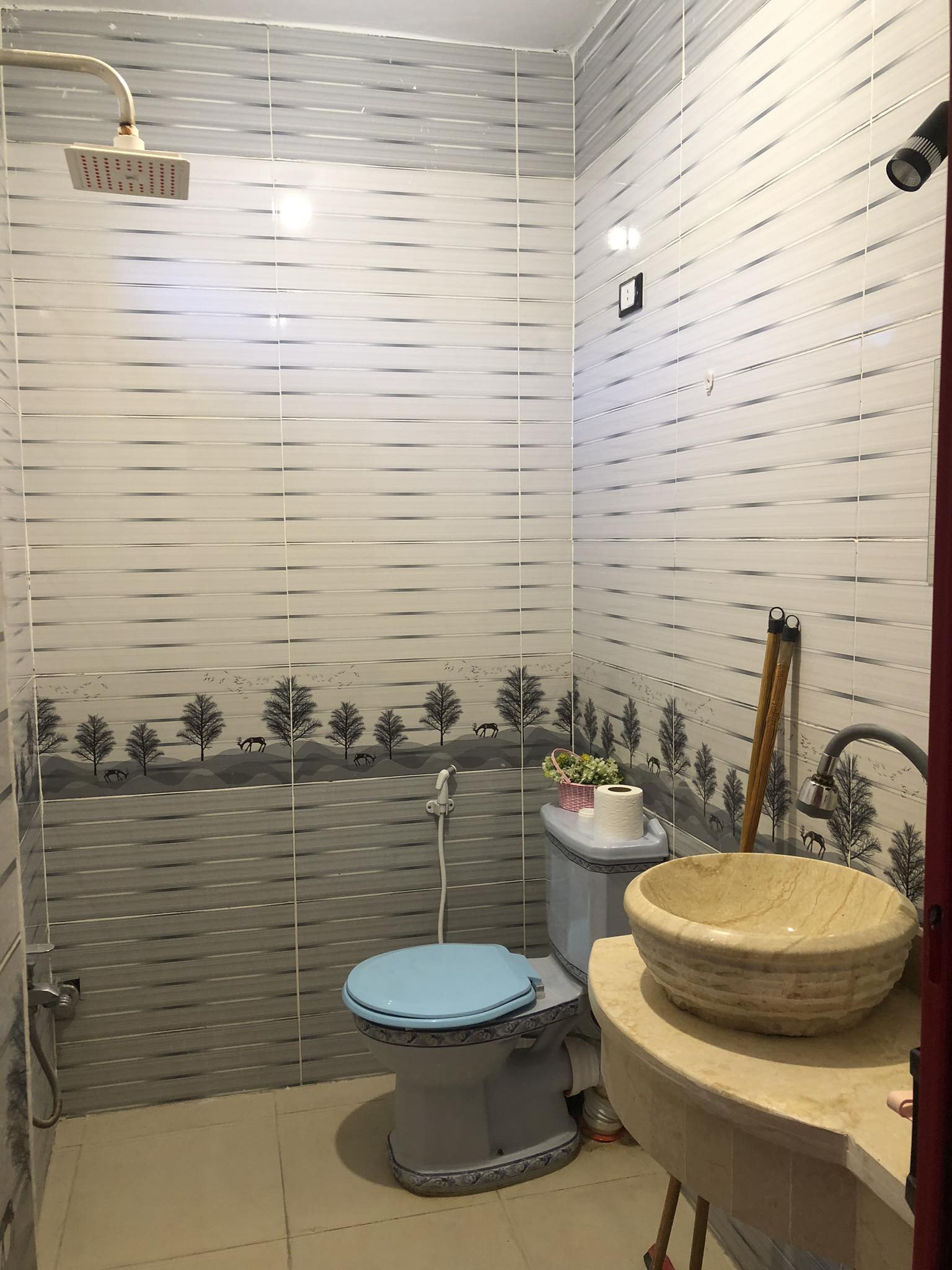 Renzo -   Property 1105