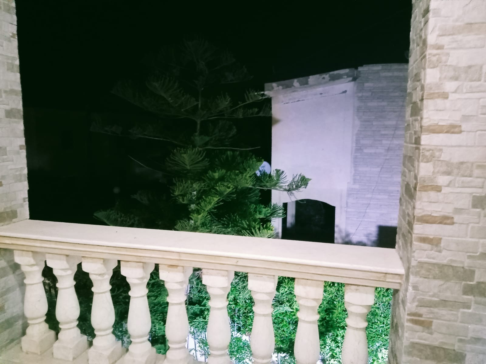 Renzo -   Property 585