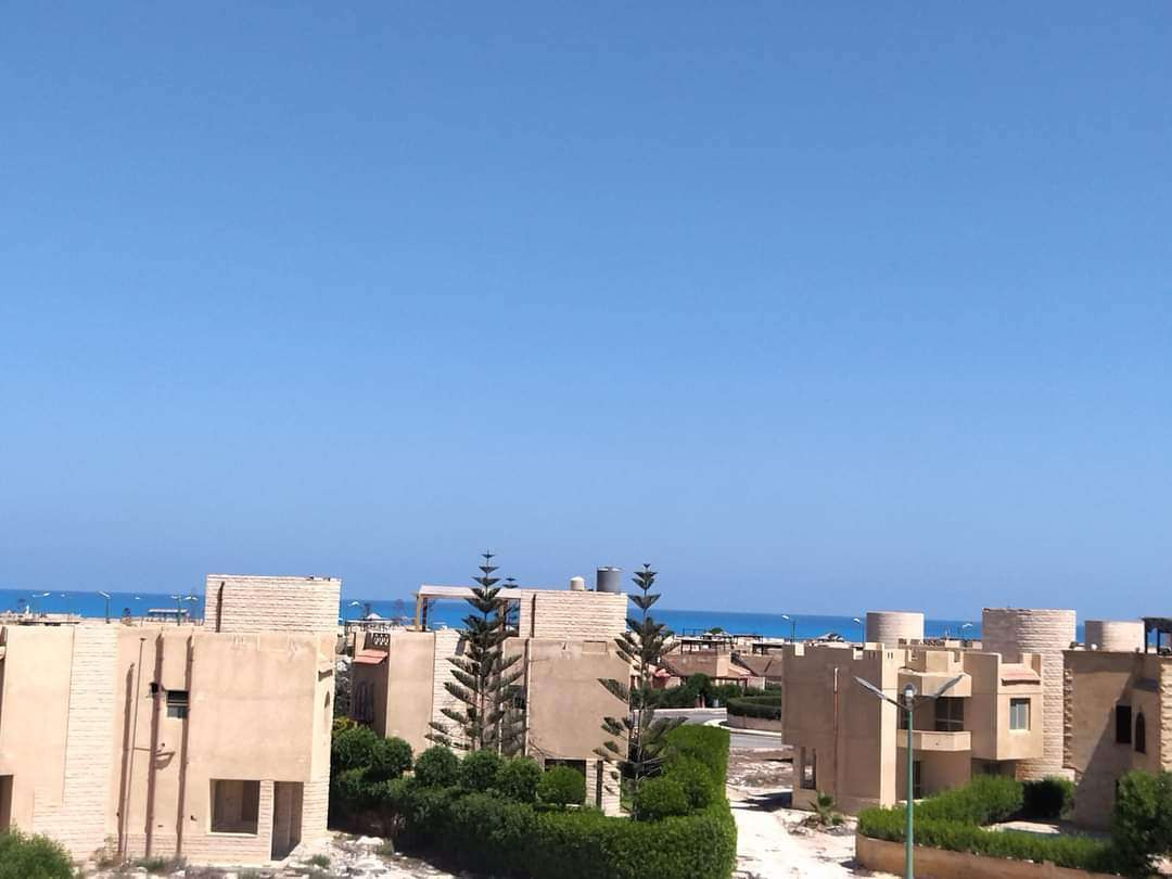 Renzo -   Property 1060